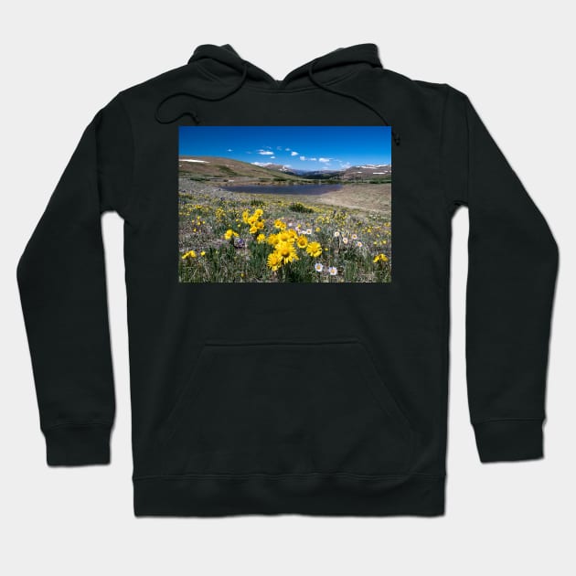 Summer in the Mountains Hoodie by valentina9